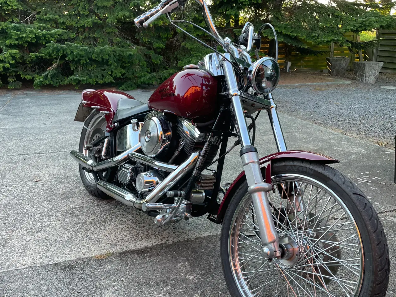 Billede 3 - Harley Davidson softtail.