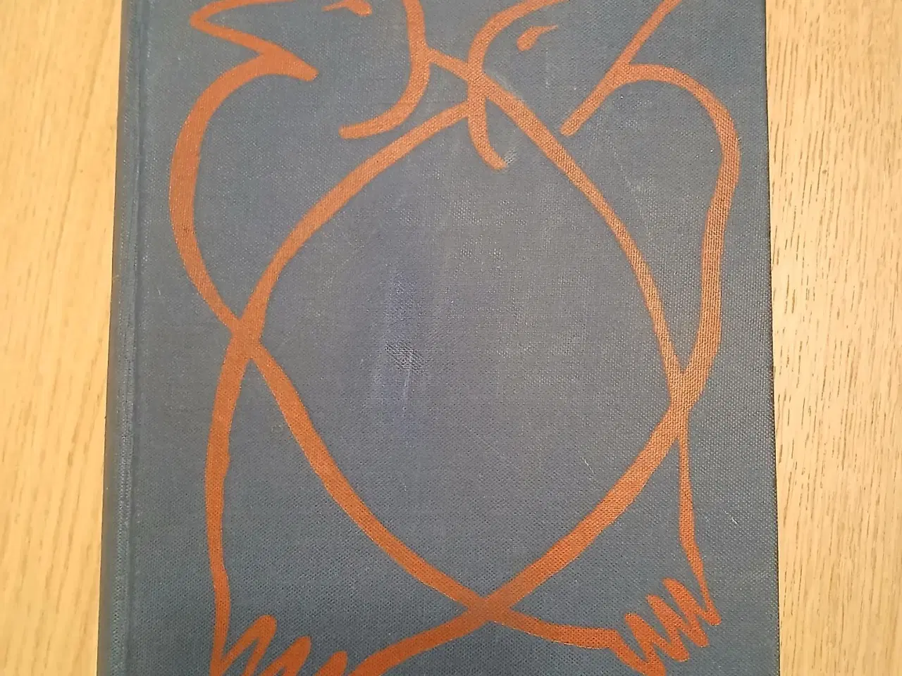 Billede 8 - Finn Salomonsen: Grønlands fugle