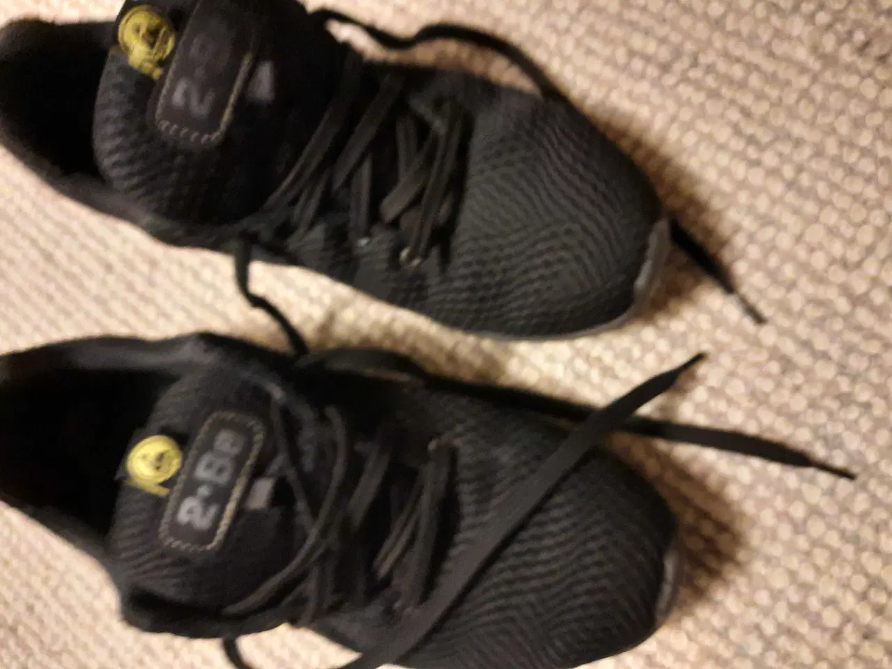 Billede 1 - Sko  ergonomisk 2 be