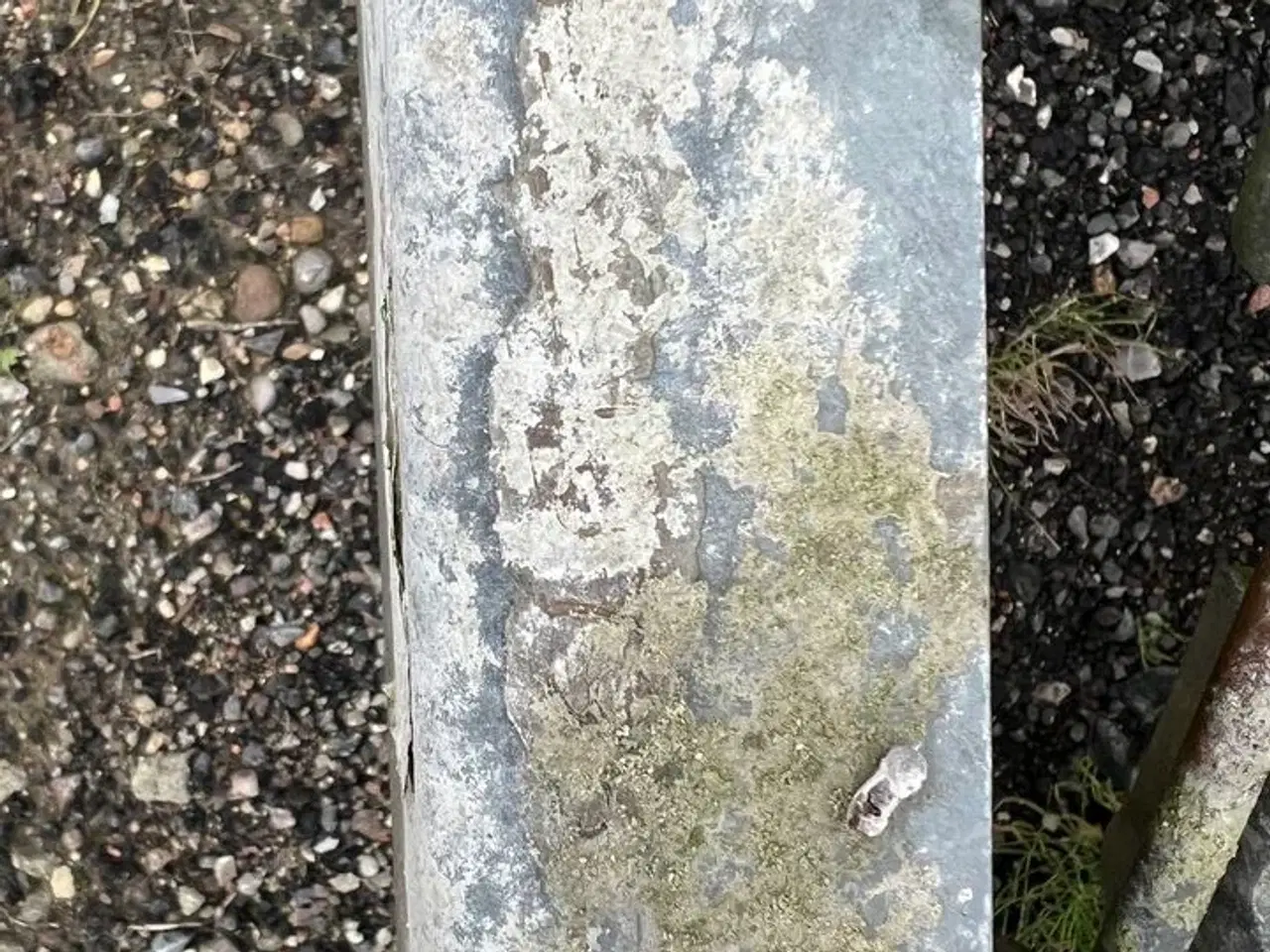 Billede 16 - Trailer/mandskabsvogn VARIANT VA 1301