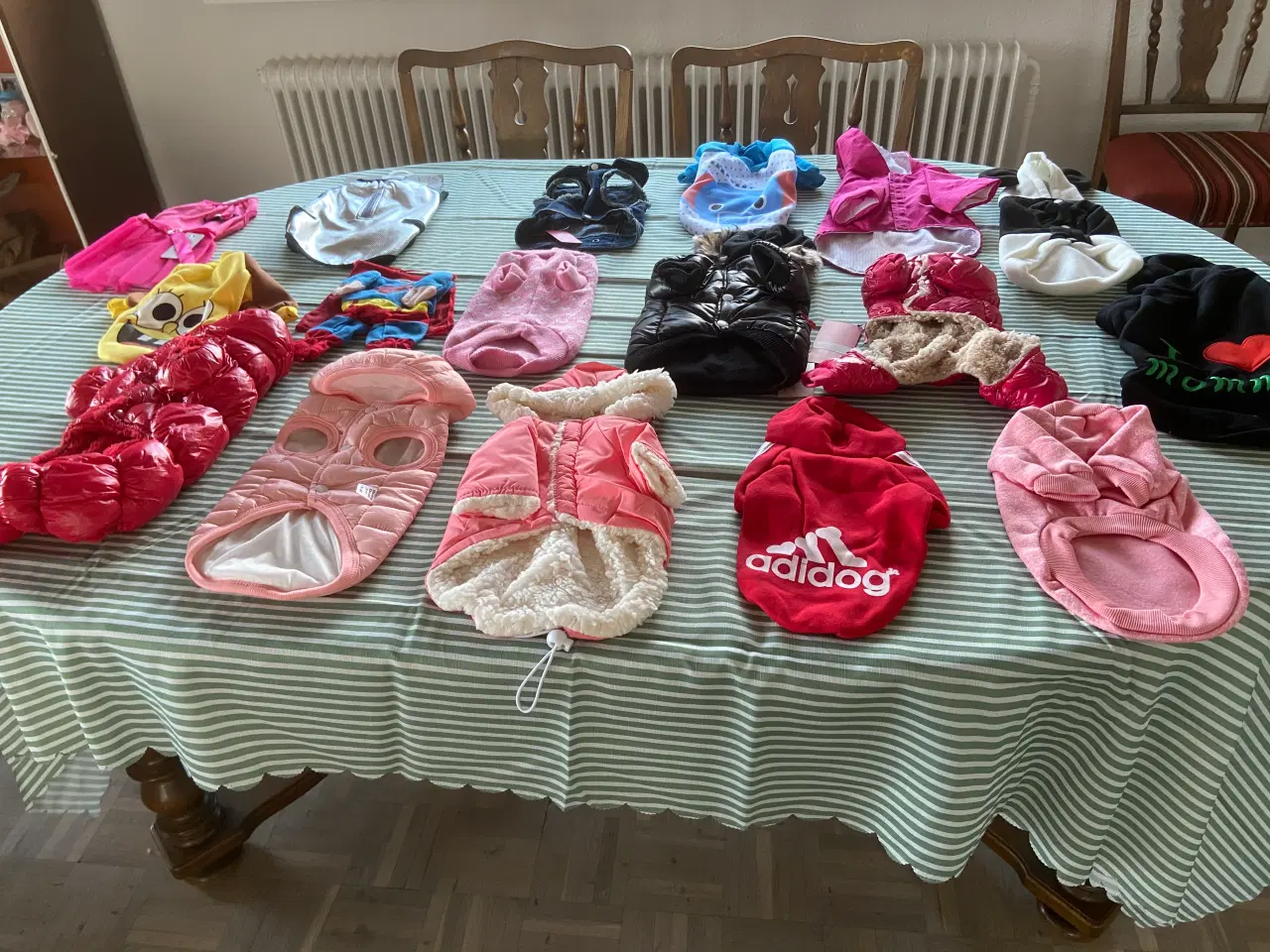 Billede 1 - Sælges hundetøj til hund som vejer 2~3 kg