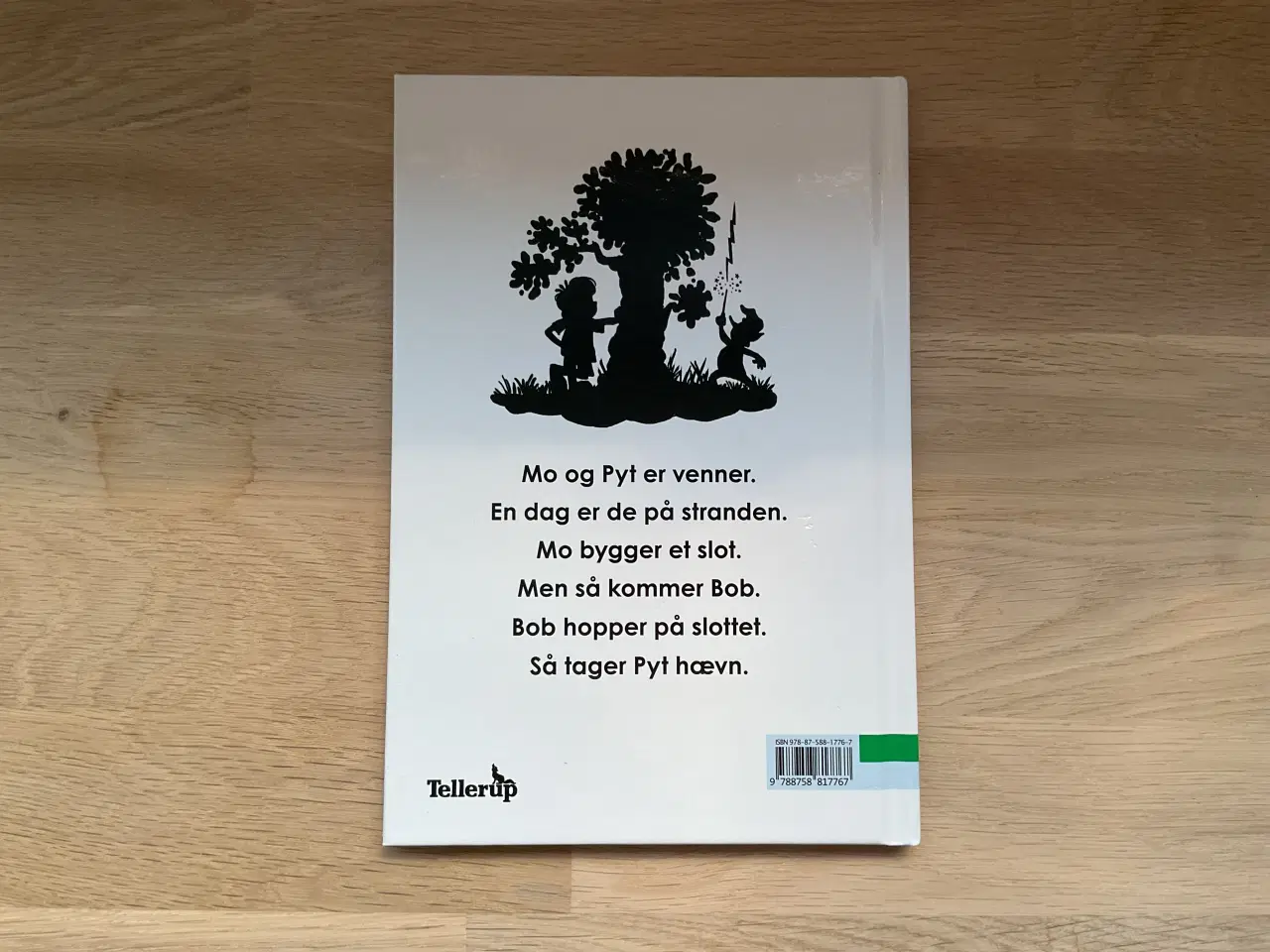 Billede 3 - Mo og Pyt på stranden