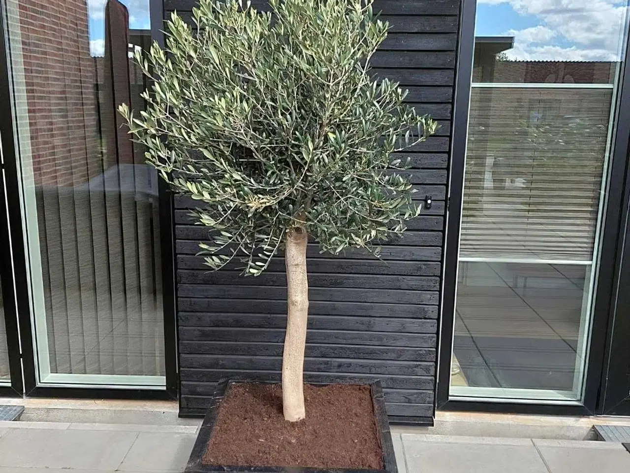 Billede 15 -  38x35 træ.Lidt af det hele fra tralle Jan.