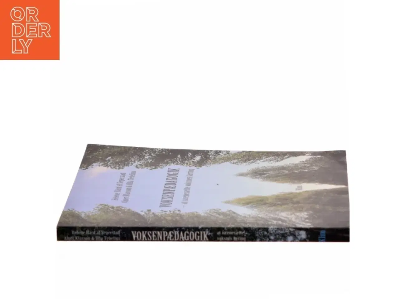 Billede 2 - Voksenpædagogik - at iscenesætte voksnes læring (Bog)