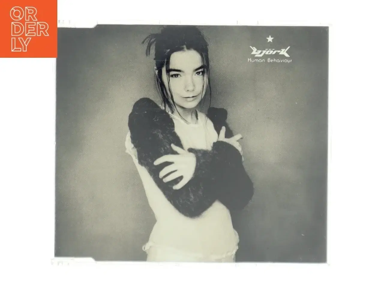 Billede 1 - Bjrk