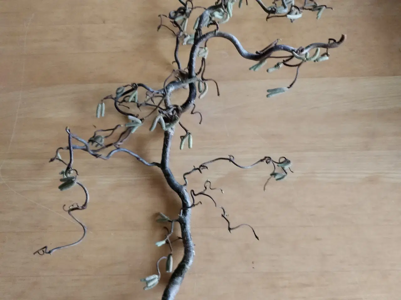 Billede 1 - Troldegren