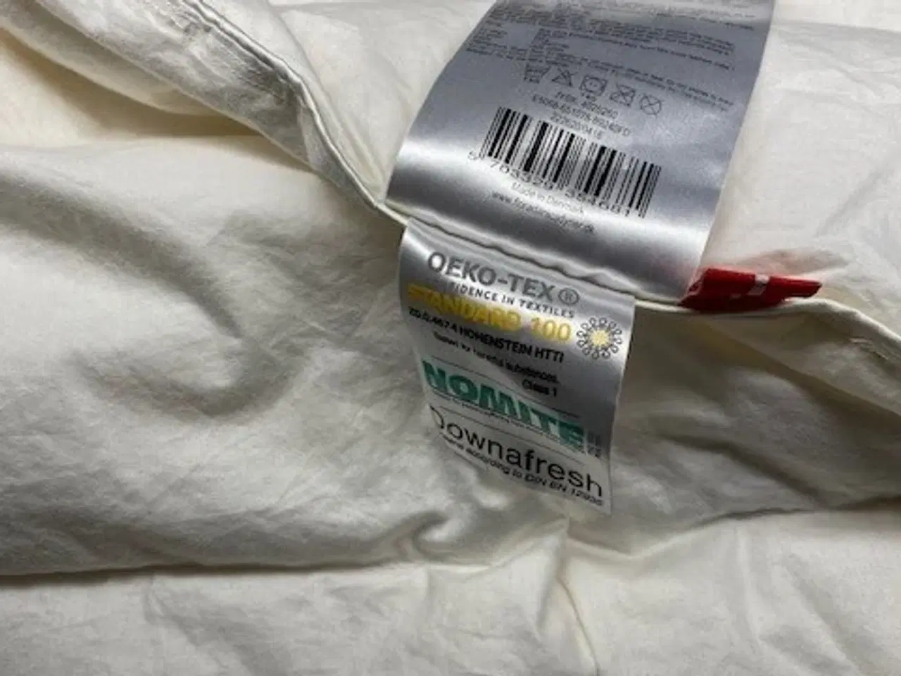 Billede 2 - Moskusdundyne - Flora Danica Anemone Sval