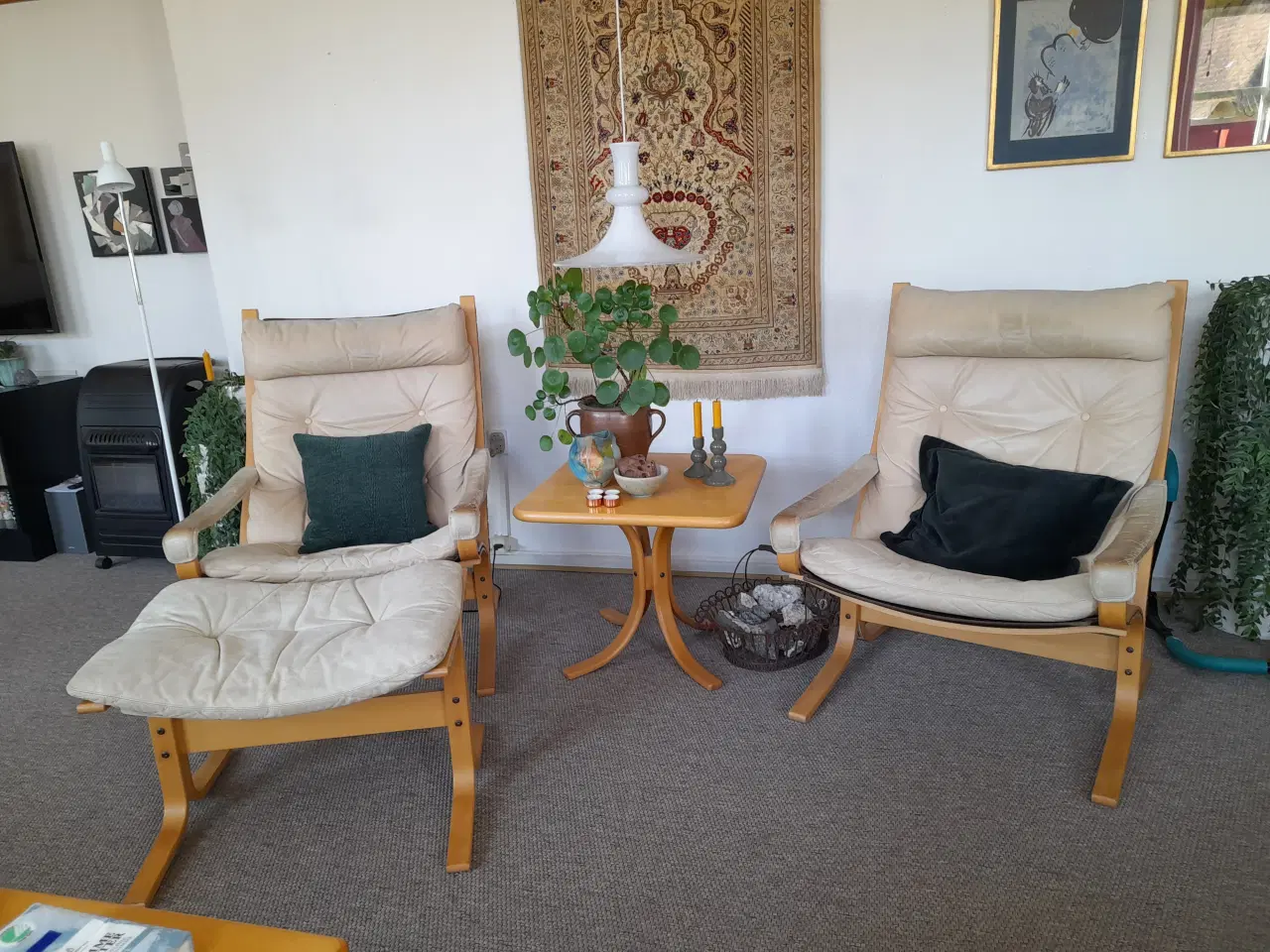 Billede 3 - 2 Siestastole højtryggede