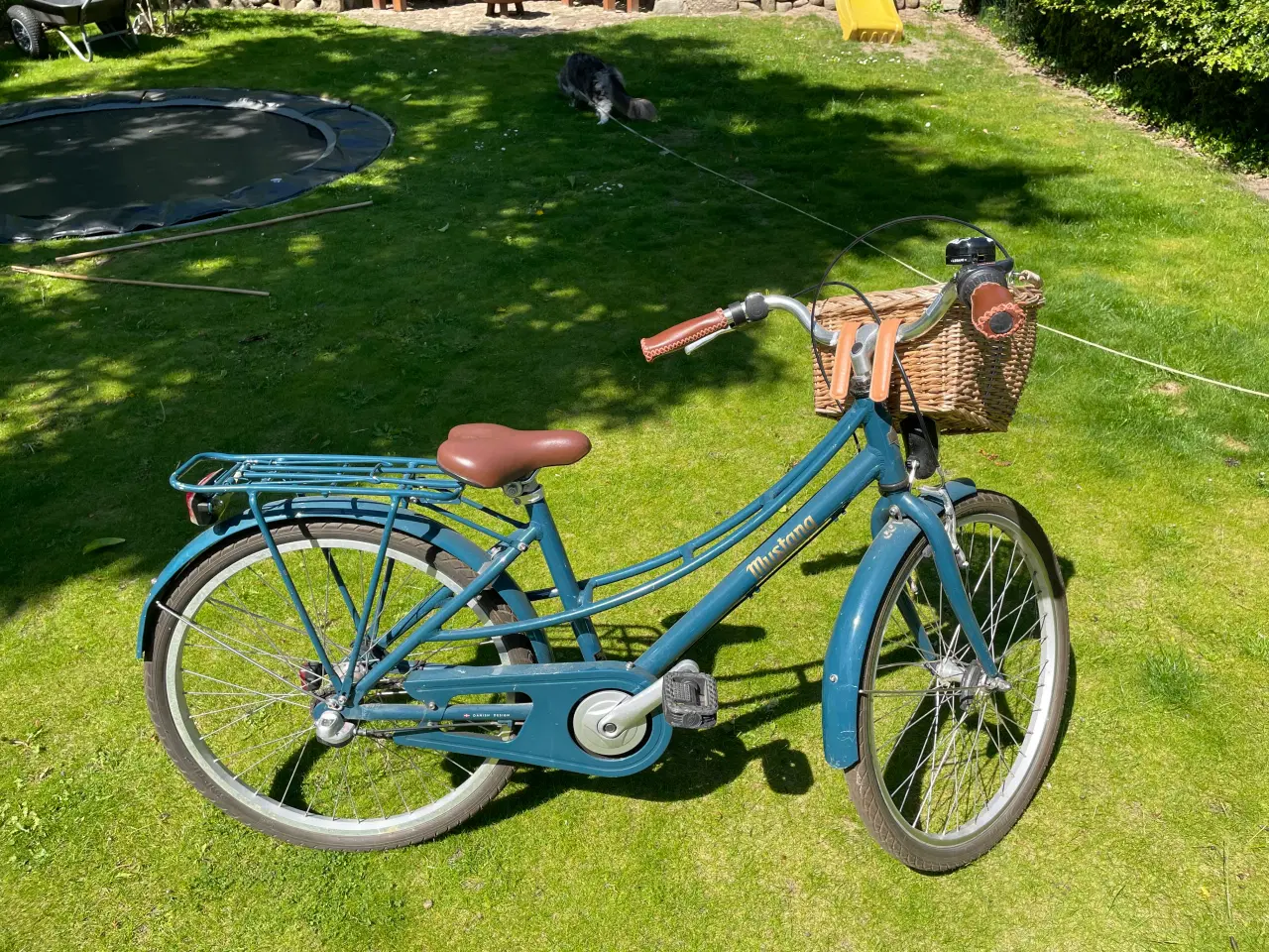 Billede 1 - Classic junior-pigecykel
