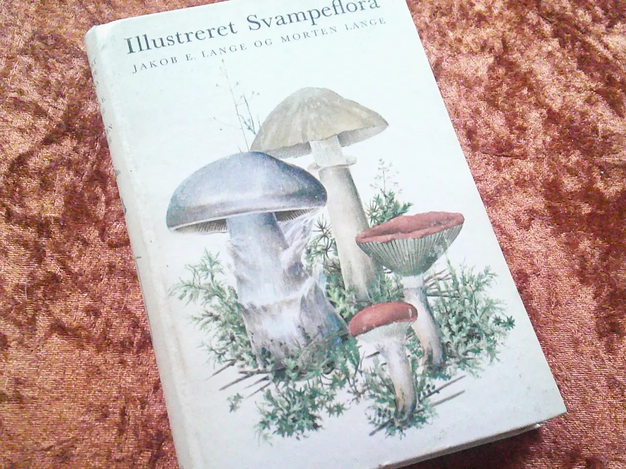 Billede 1 - Illustreret svampeflora, Morten Lange