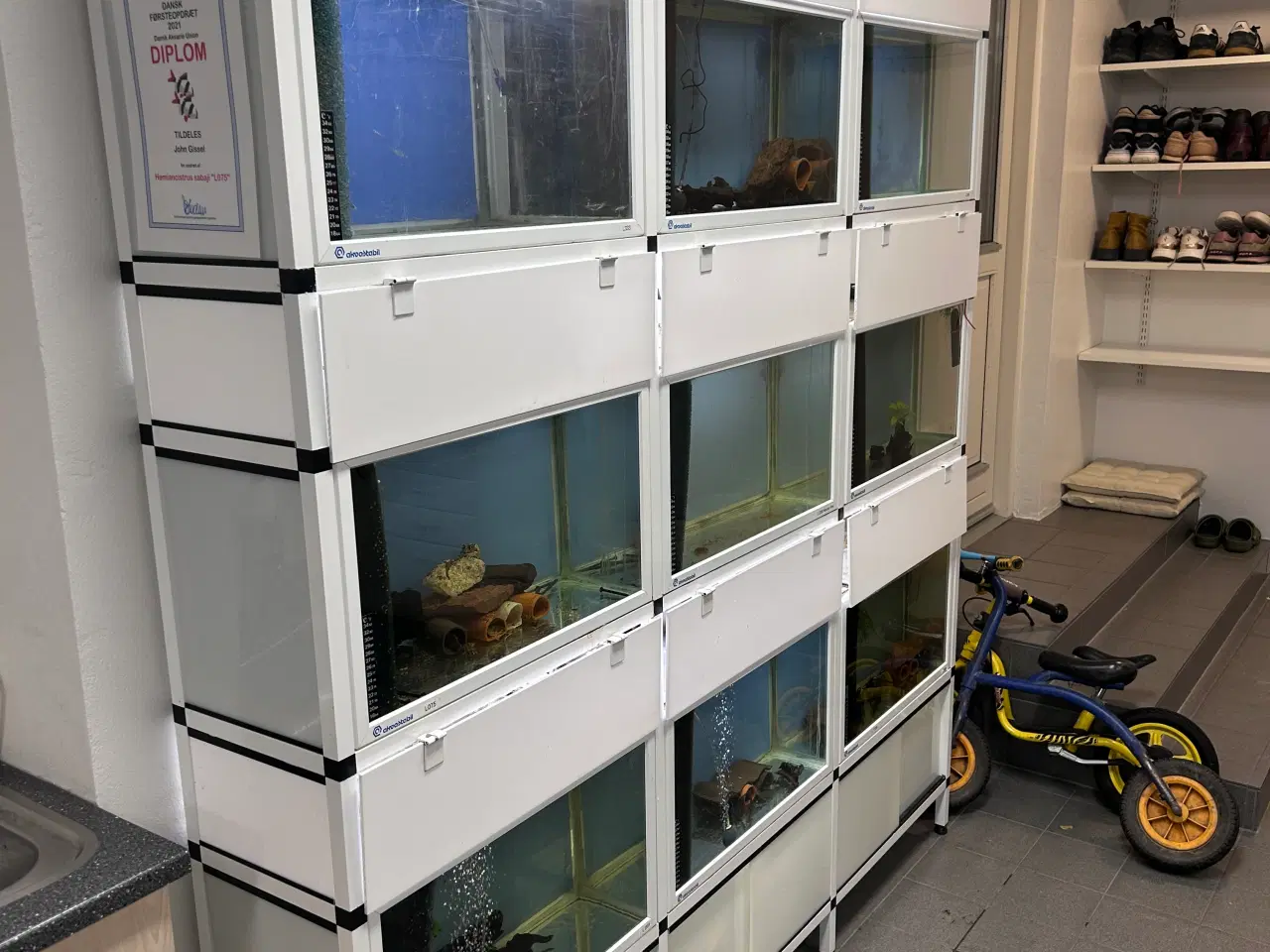 Billede 3 - Akvarium reol