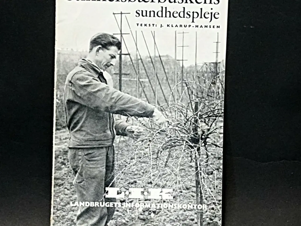 Billede 5 - Gode Brugte Bøger 