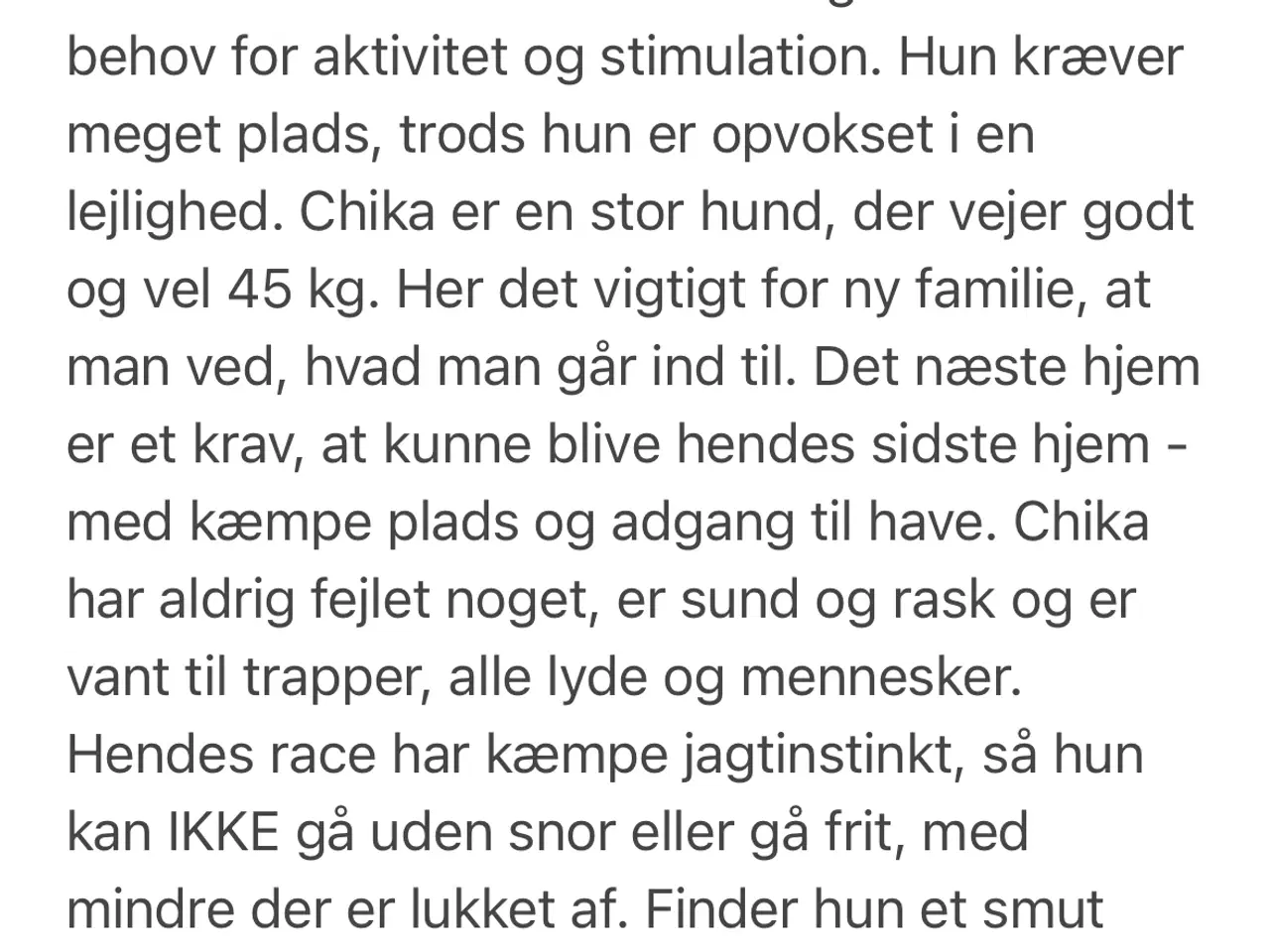 Billede 7 - Amerikansk Akita