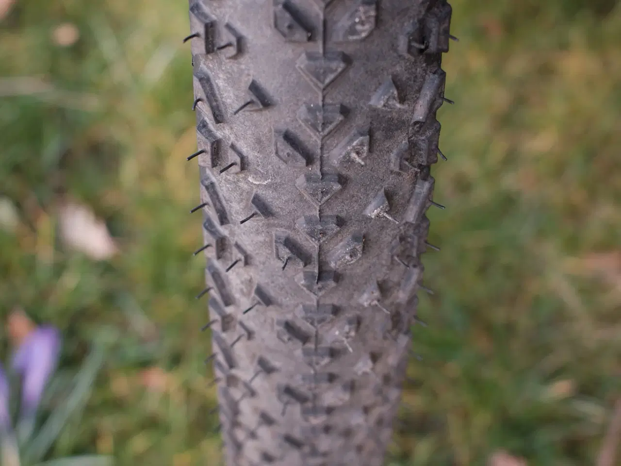 Billede 4 - Orbea Alma H30