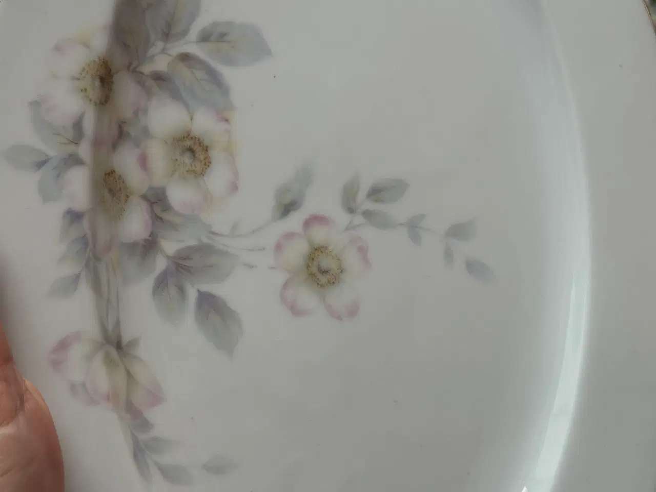 Billede 14 - Stort Bavaria stel med æbleblomst og guldkant