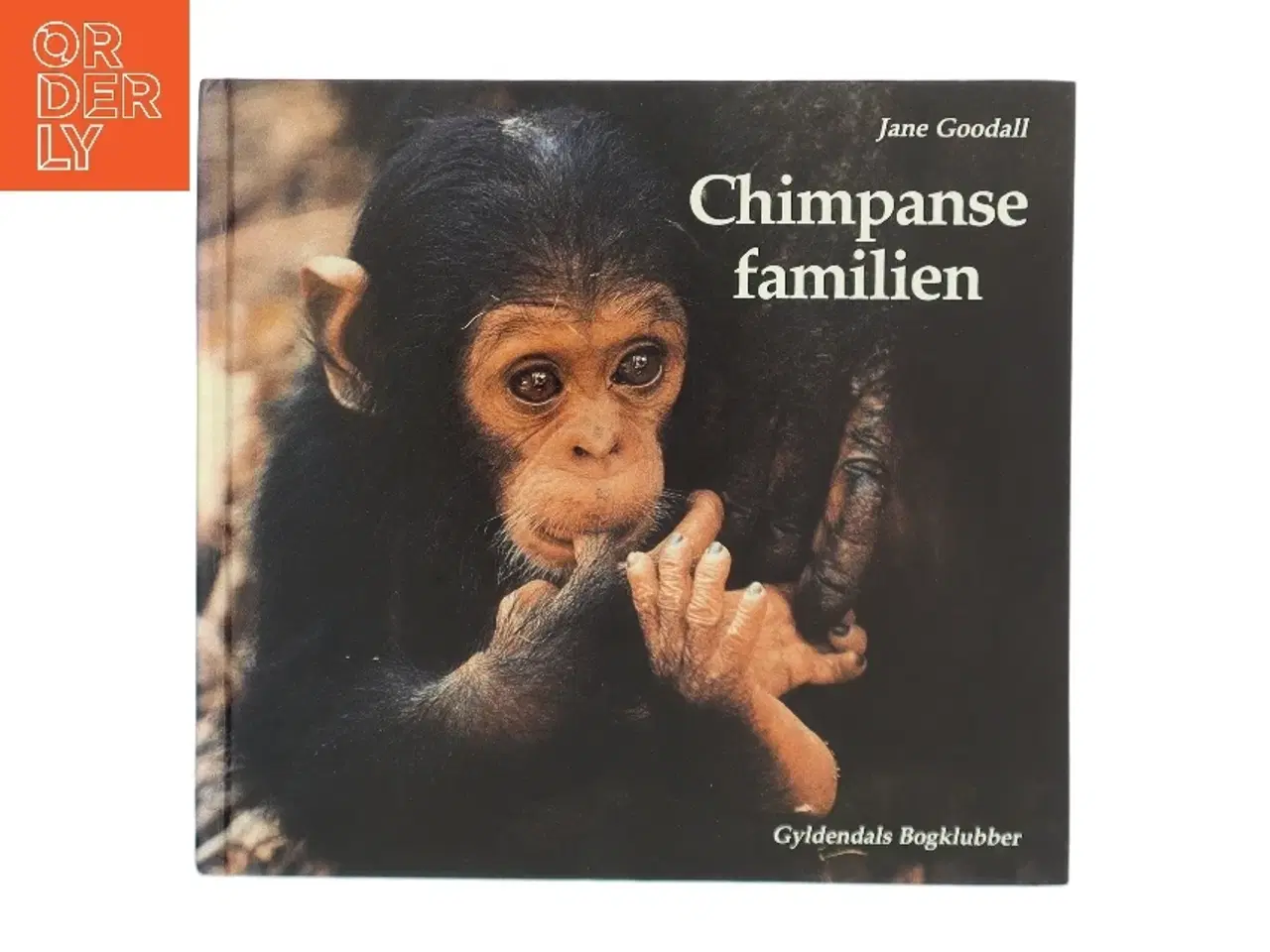 Billede 1 - Chimpansefamilien af Jane Goodall (Bog)