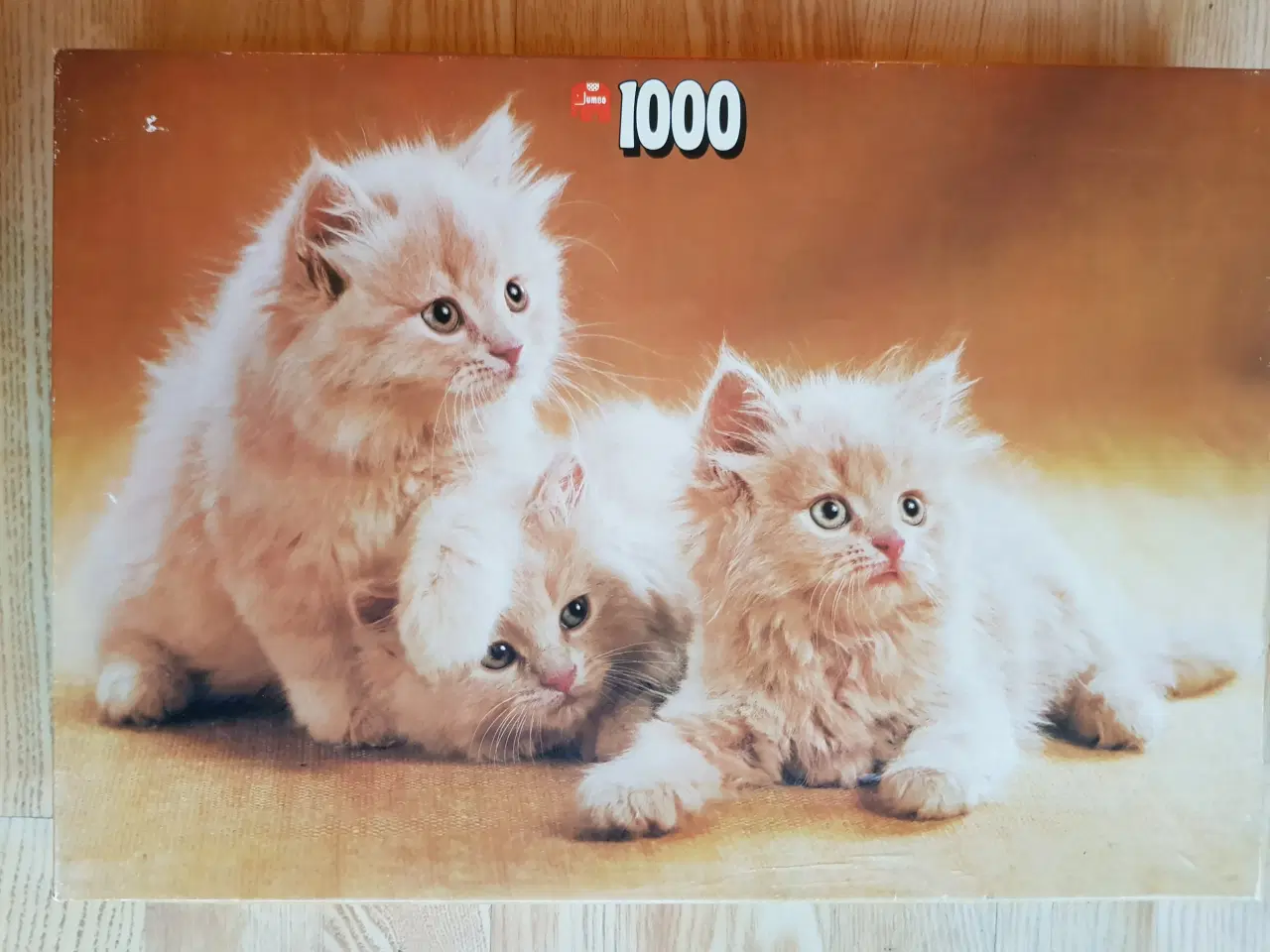 Billede 1 - Puslespil med katte, 1000 brikker