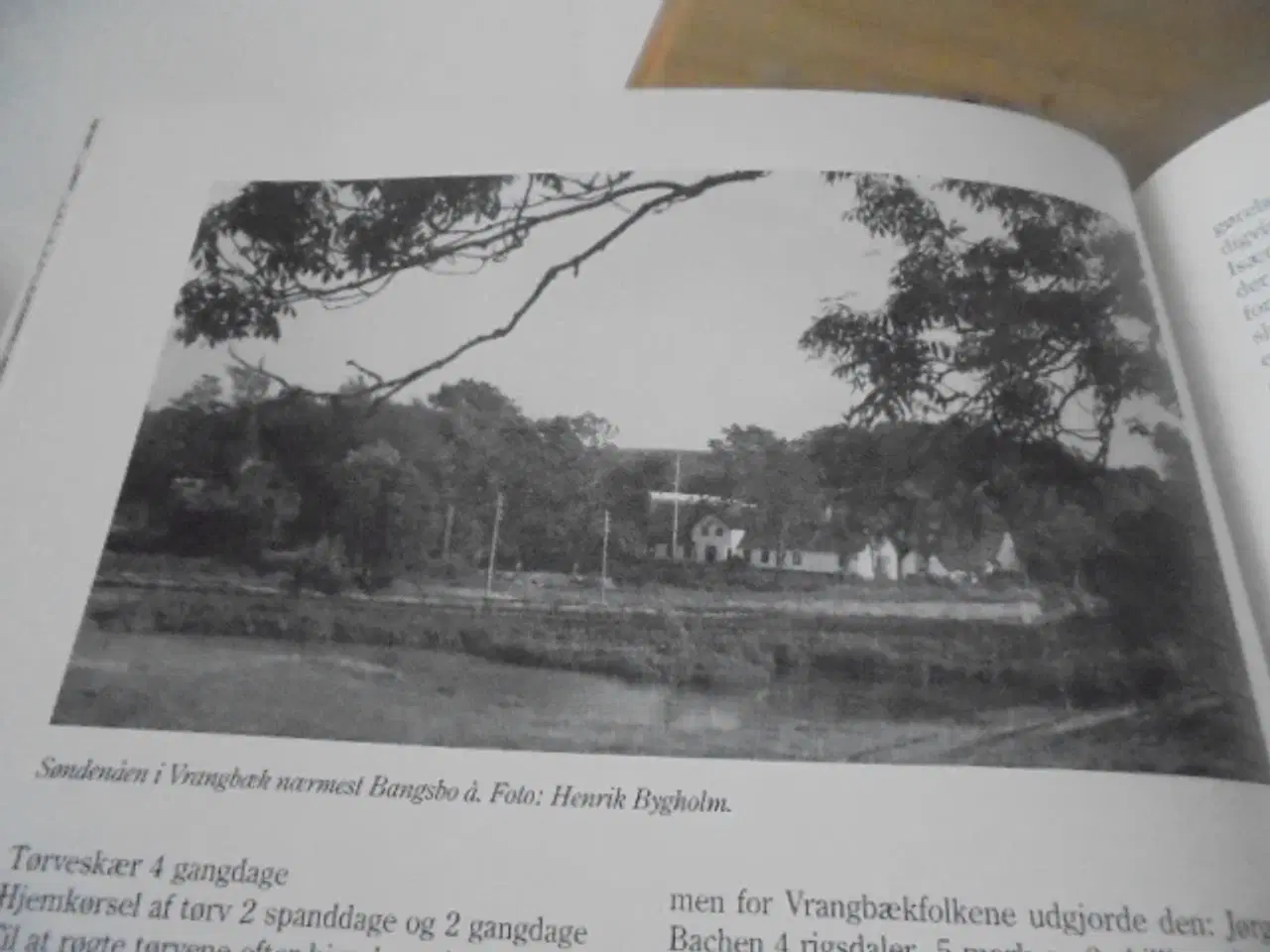 Billede 2 - Bønder – landbrug i Nordøstvendsyssel gennem 200 å