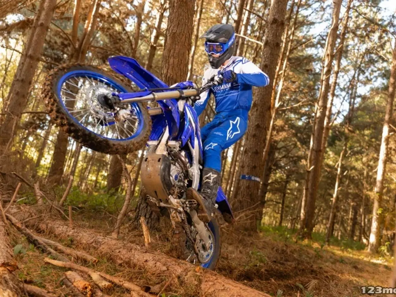 Billede 4 - Yamaha WR 250 F