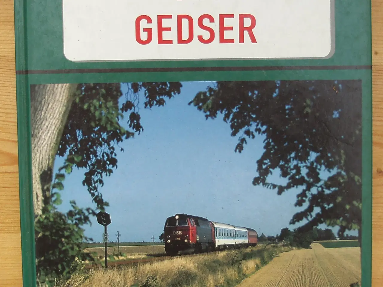 Billede 1 - Tog; Internationale tog via Gedser