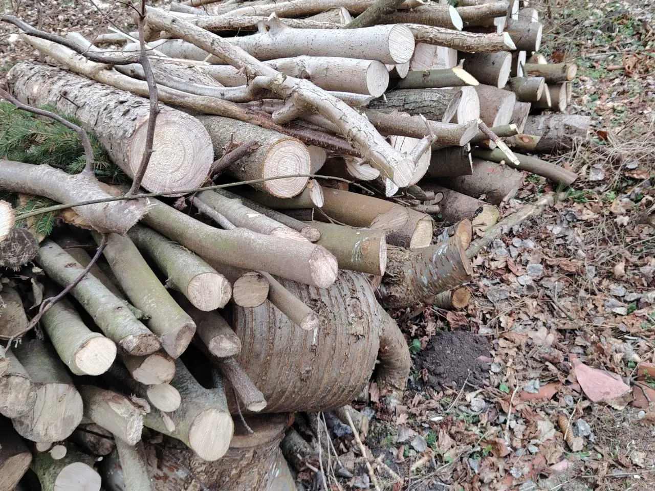 Billede 2 - Brænde i meter stykke 