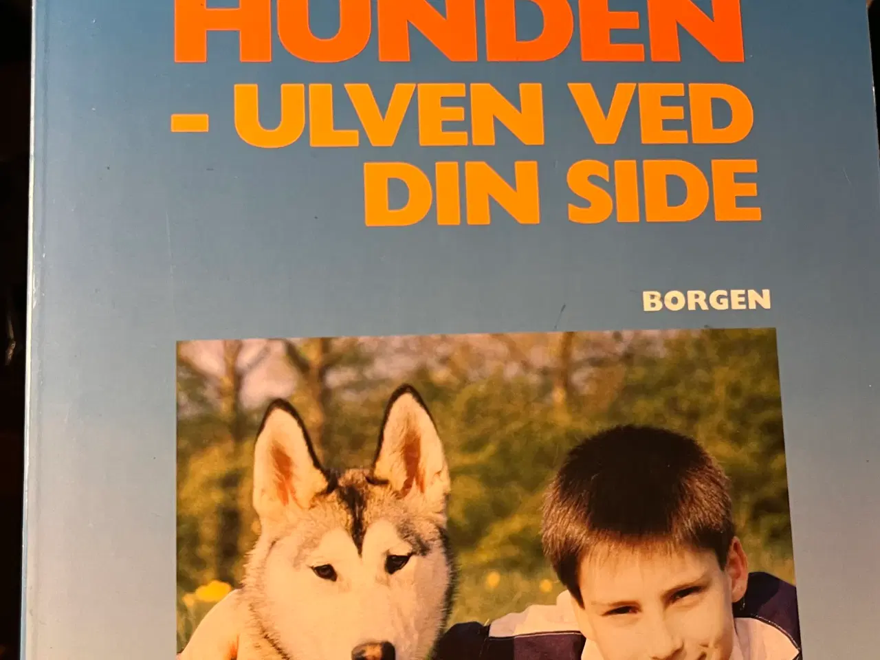 Billede 4 - Hundetræning, adfærd og viden om hunde