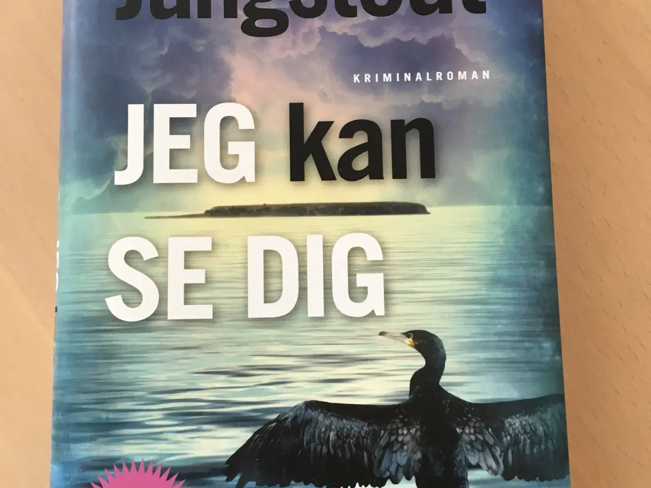 Billede 1 - Mari Jungstedt krimi: Jeg kan se dig