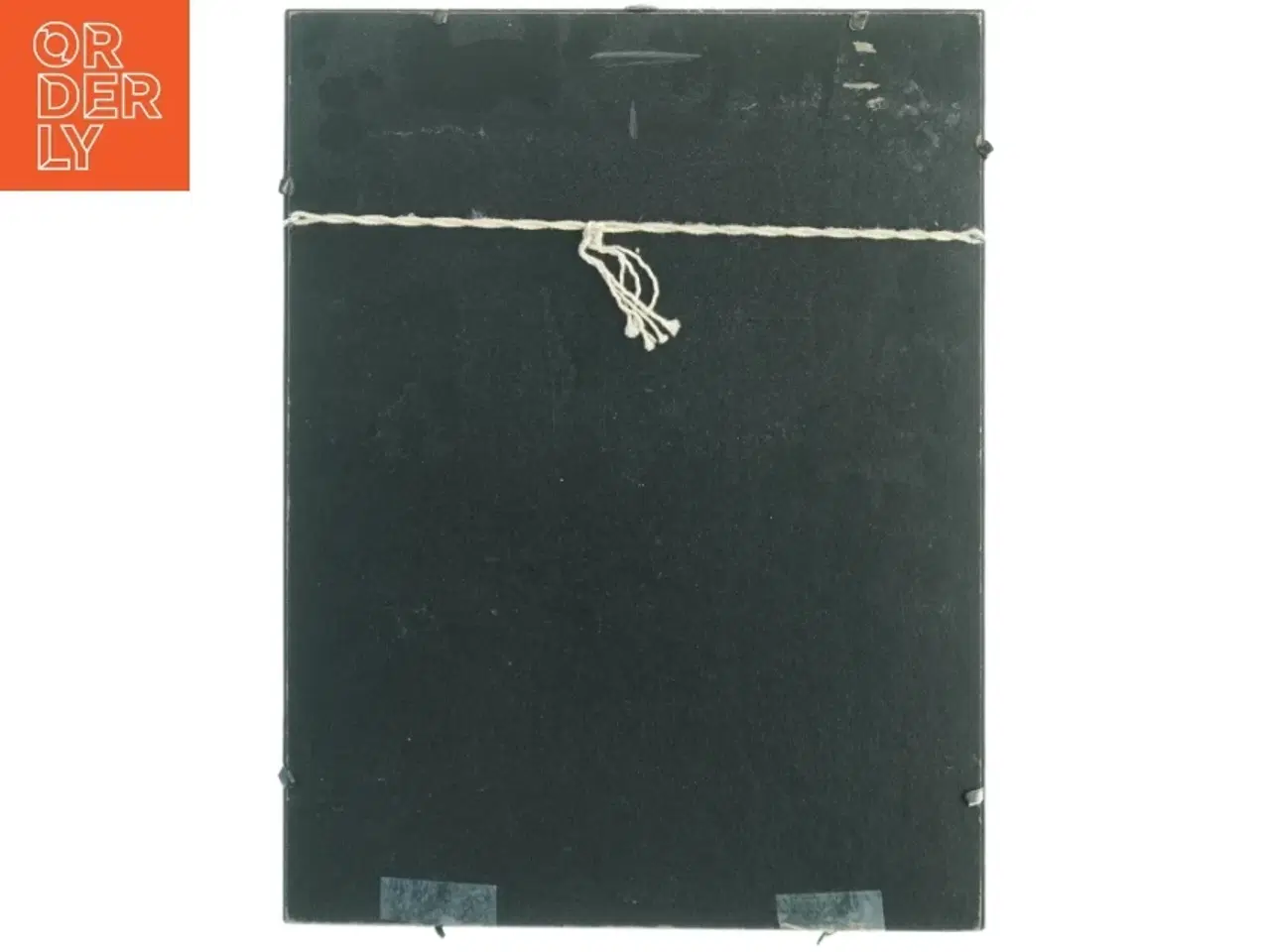 Billede 4 - Pia Schutzmann litografi (str. 42 x 32 cm)