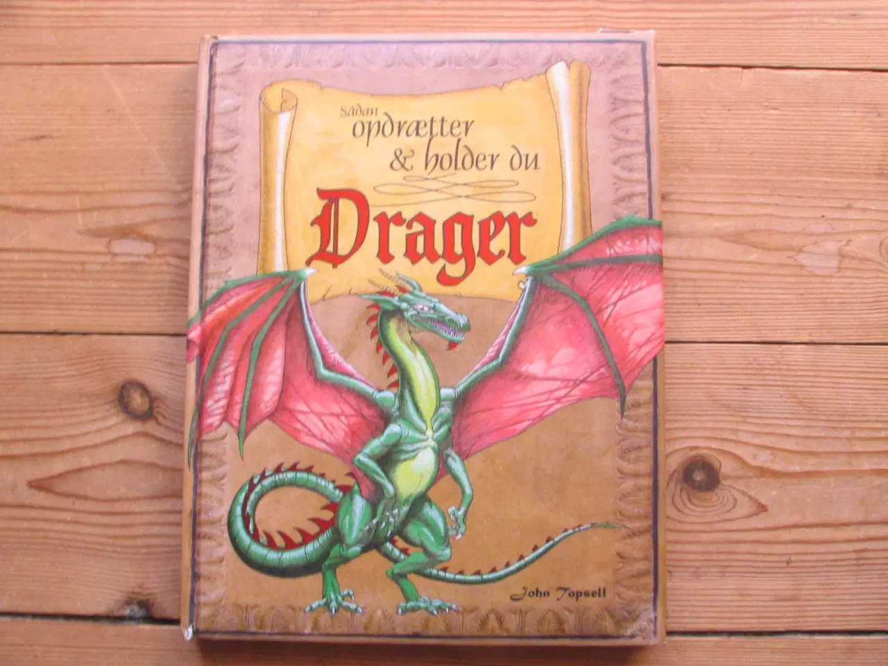 Billede 1 - Sådan opdrætter og holder du drager
