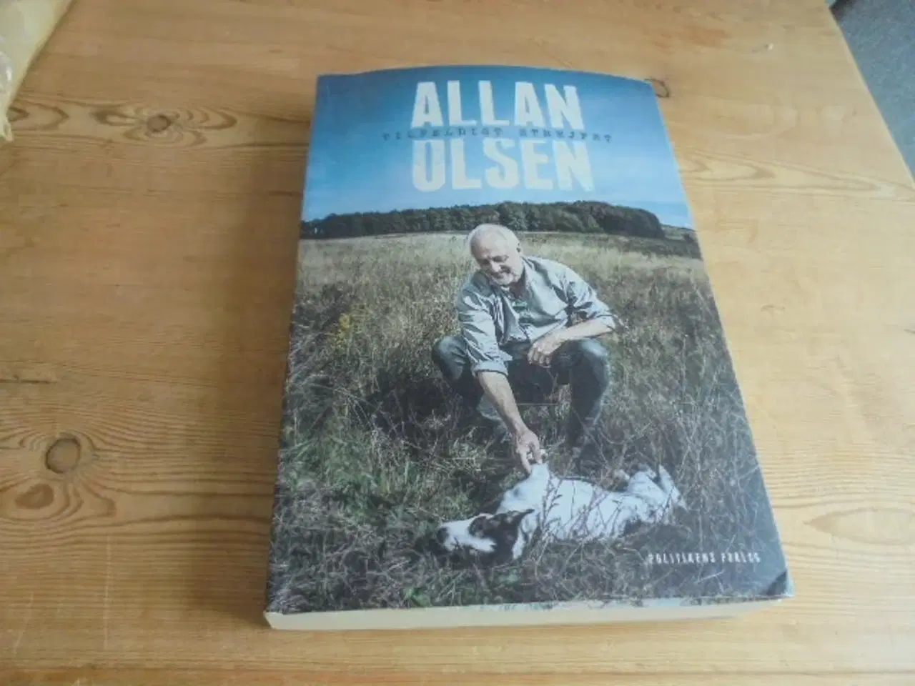 Billede 1 - Allan Olsen – Tilfældigt strejfet  