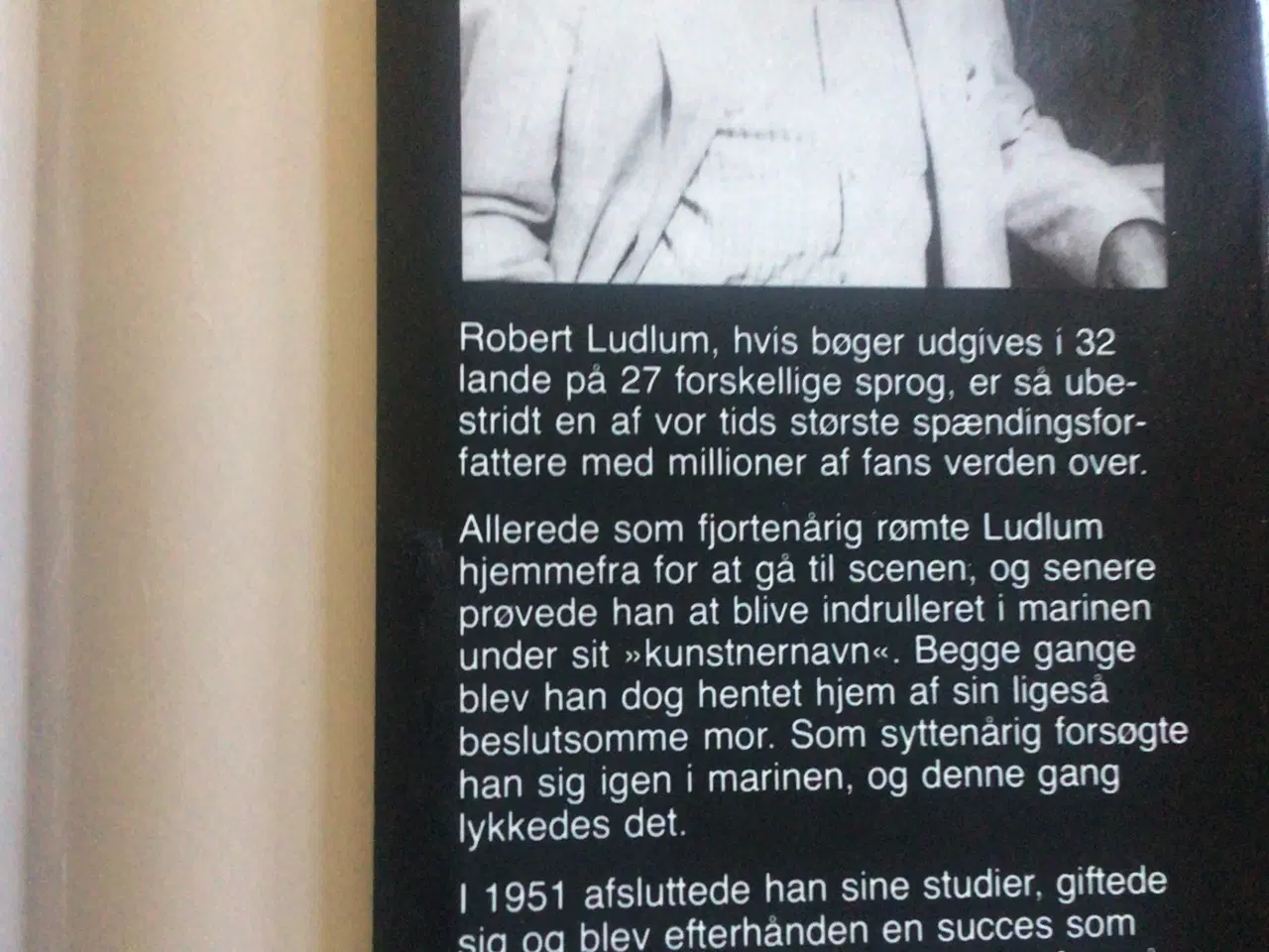 Billede 3 - Robert Ludlum : Kodeord Icarus