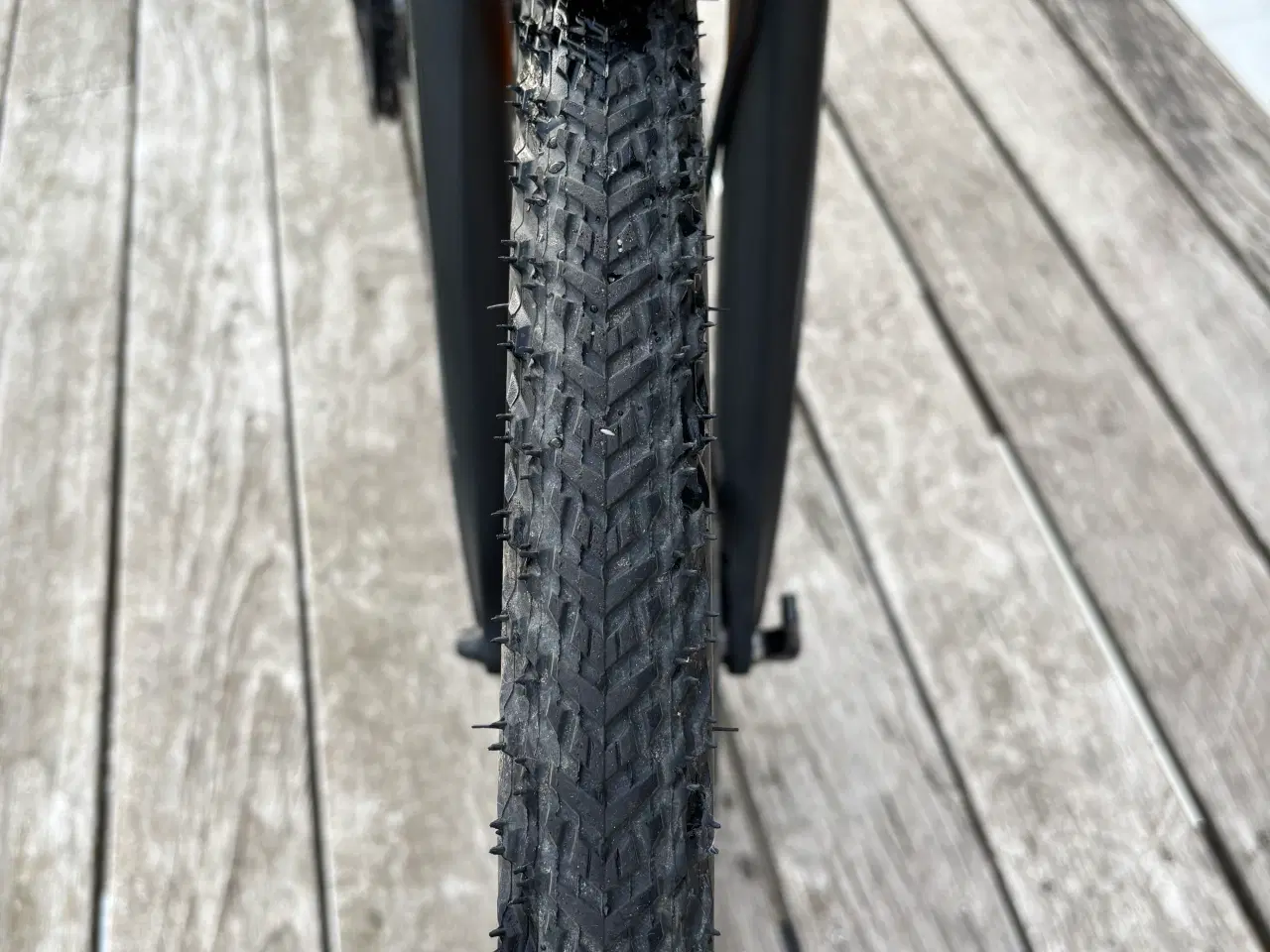 Billede 9 - Giant Roam Disc 0, str. L