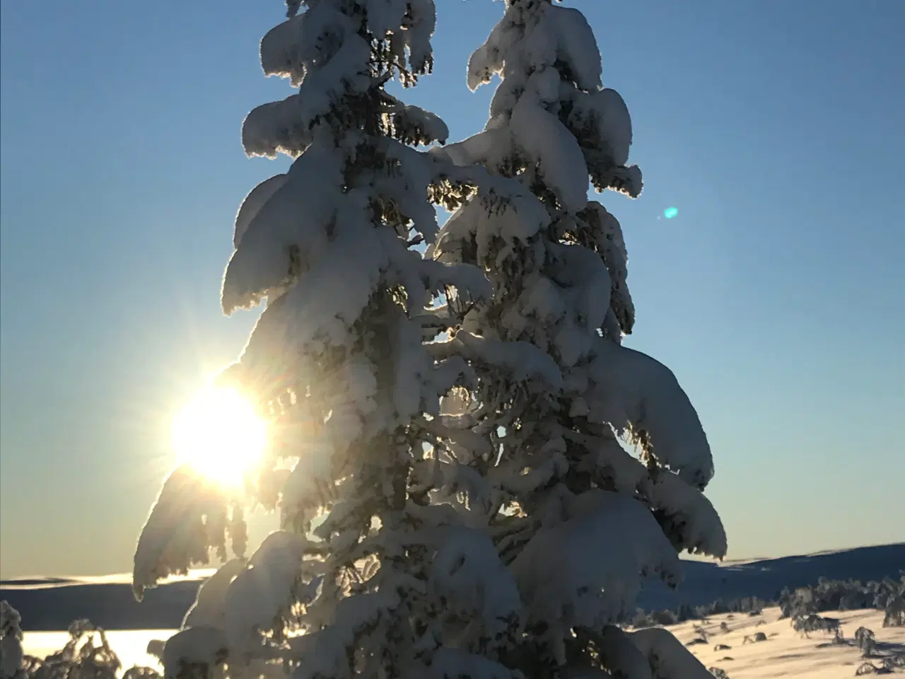 Billede 13 - Hytte med panoramaudsigt