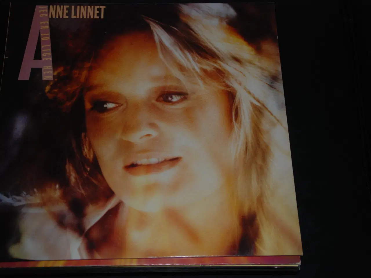 Billede 1 - Anne Linnet