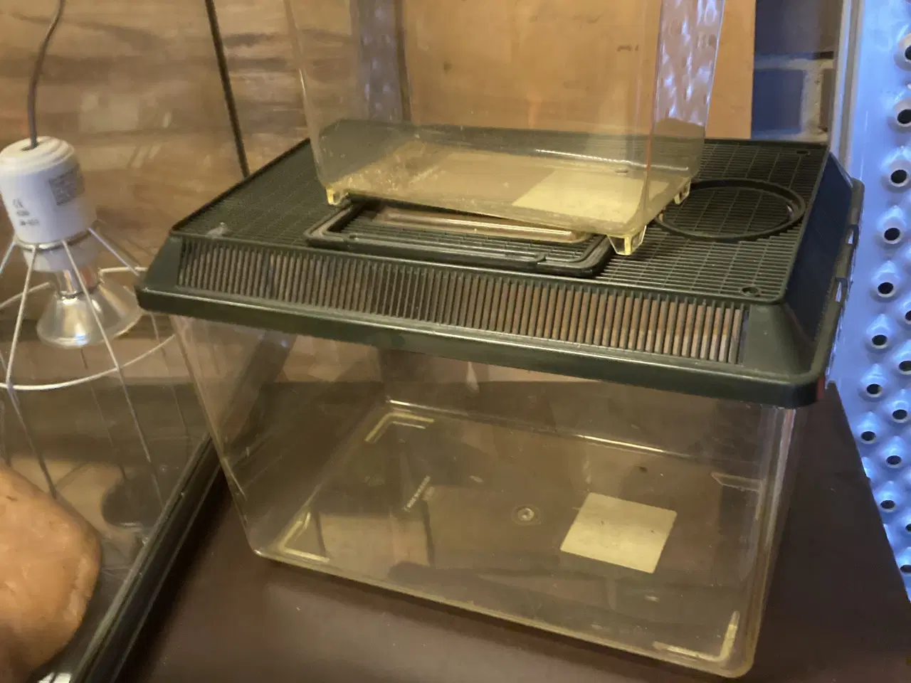 Billede 2 - Exo Terra terrarie 