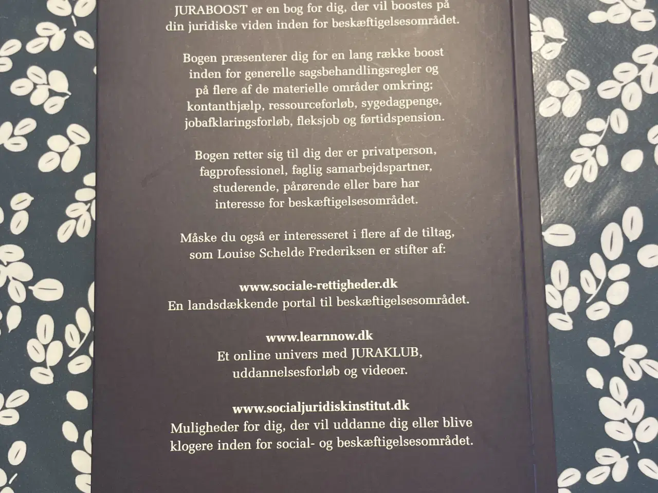 Billede 2 - Juraboost 2.0 af Louise Schelde Frederiksen