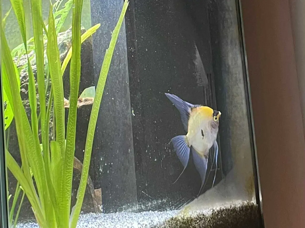 Billede 3 - Juwel akvarium Rio LED, 180 L