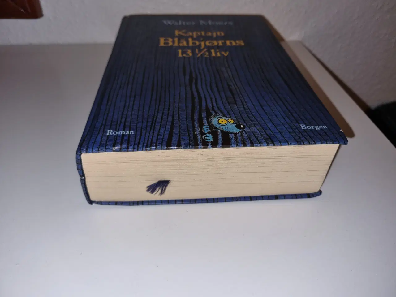 Billede 2 - Walter Moers - Kaptajn Blåbjørns 13 1/2 liv
