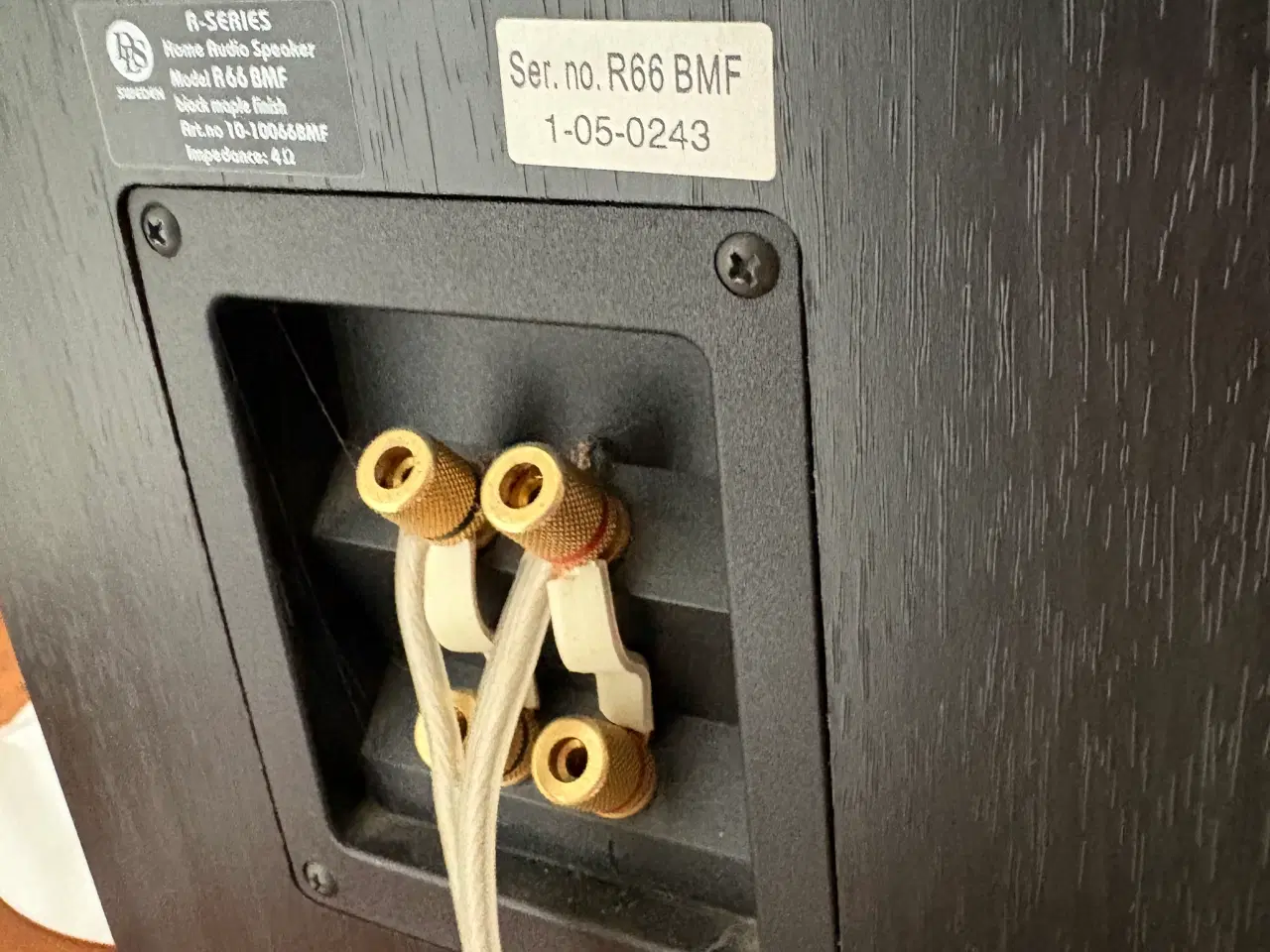 Billede 4 - DLS R66 gulvhøjttaler