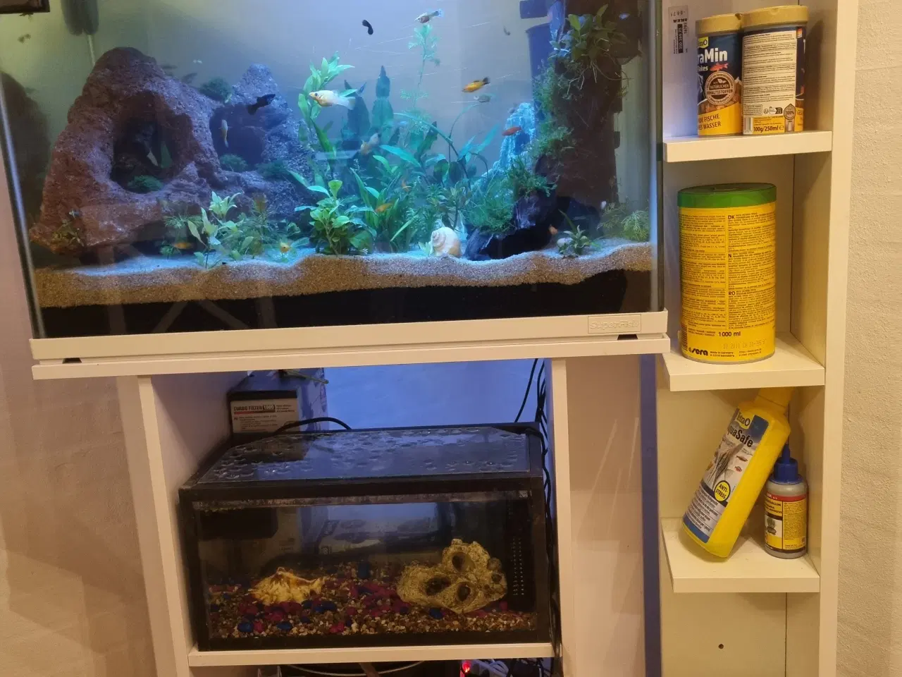 Billede 2 - Akvarium 100L SuperFish komplet setup 