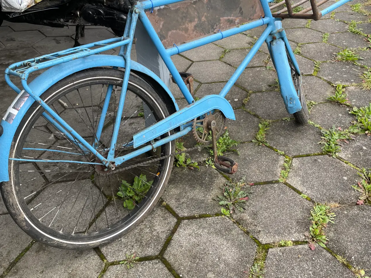 Billede 1 - Budcykel