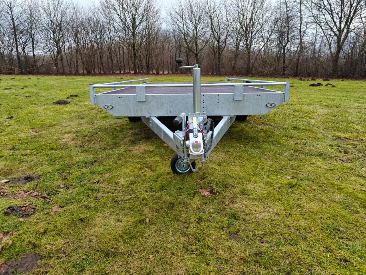 Billede 8 - Eduard trailer 4020-3000 Multi - Reiling