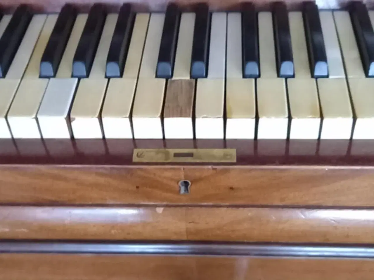 Billede 2 - Klaver