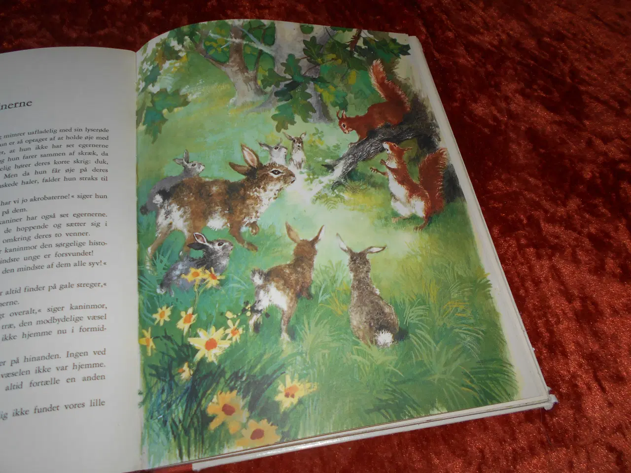 Billede 3 - Dyrene i den lille skov, Anne-Marie Dalmais