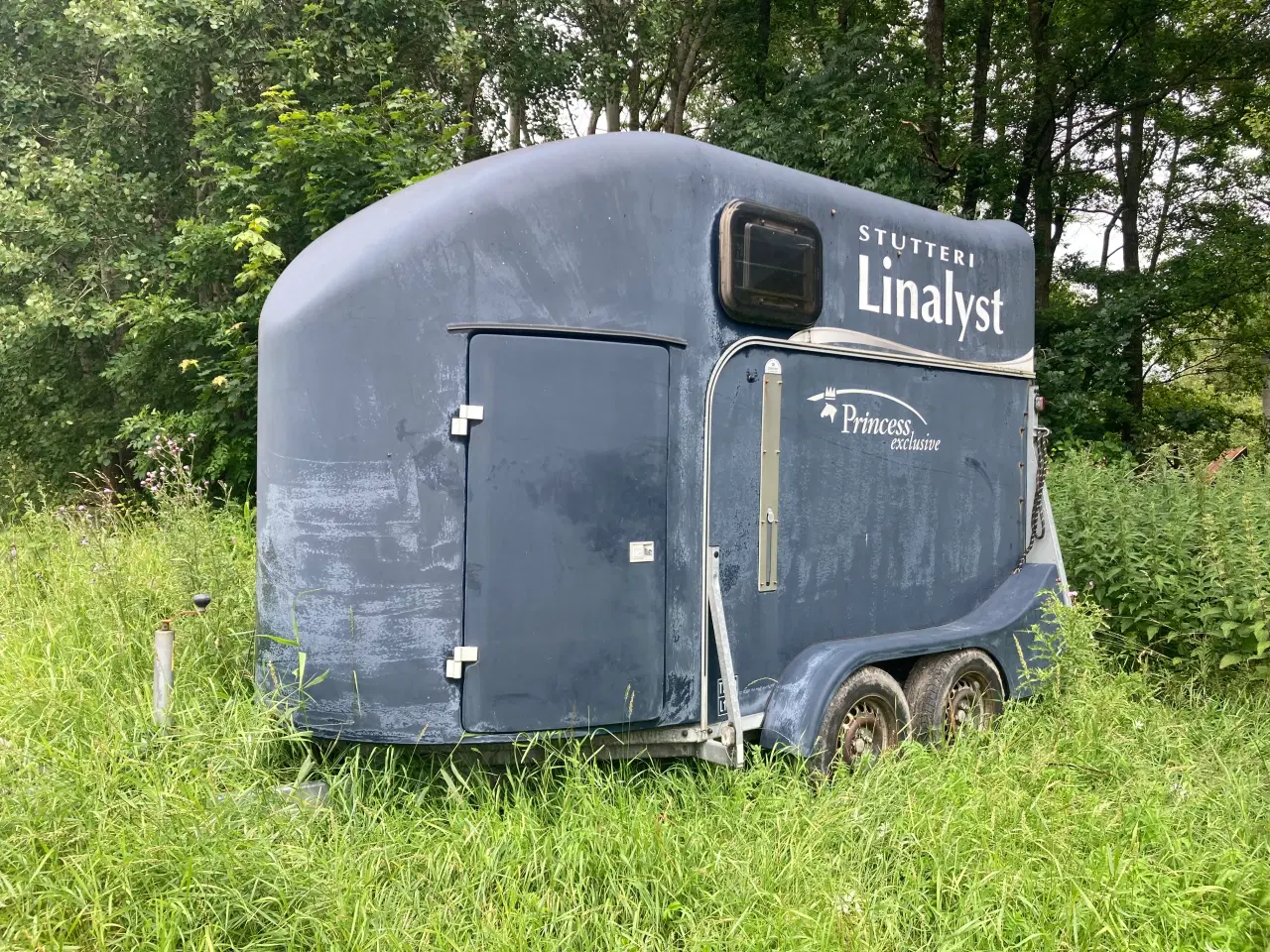 Billede 1 - Hestetrailer i glasfiber med indmad 