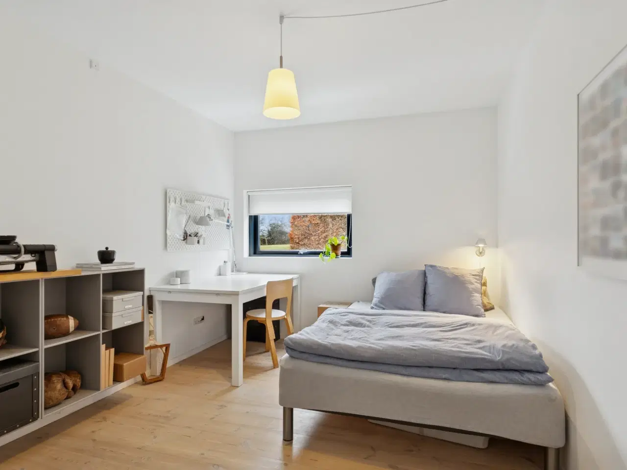 Billede 13 - Privat beliggenhed, natur og fantastisk læ - skønt