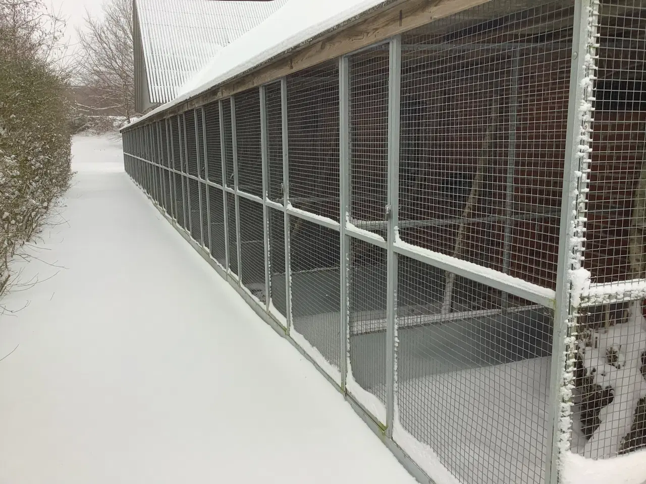 Billede 7 - Burer til kattepension sælges