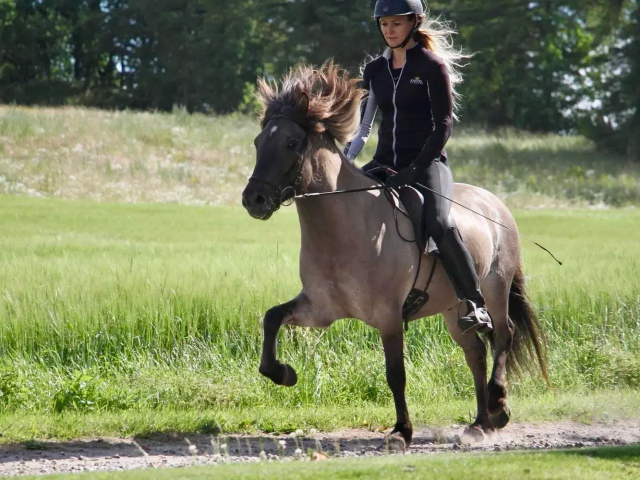 Billede 2 - Gode bevægelser, godt sind og smuk farve- video ka