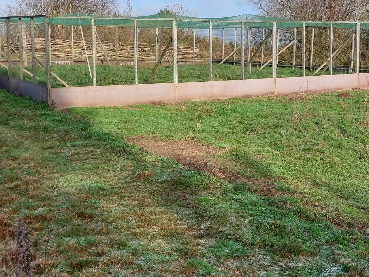 Billede 1 - Voliere sælges