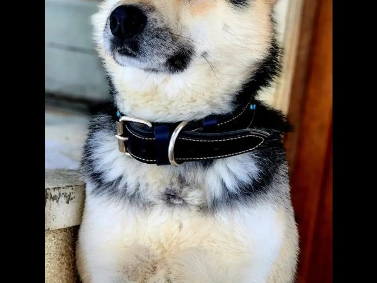 Billede 2 - Smukke Athos